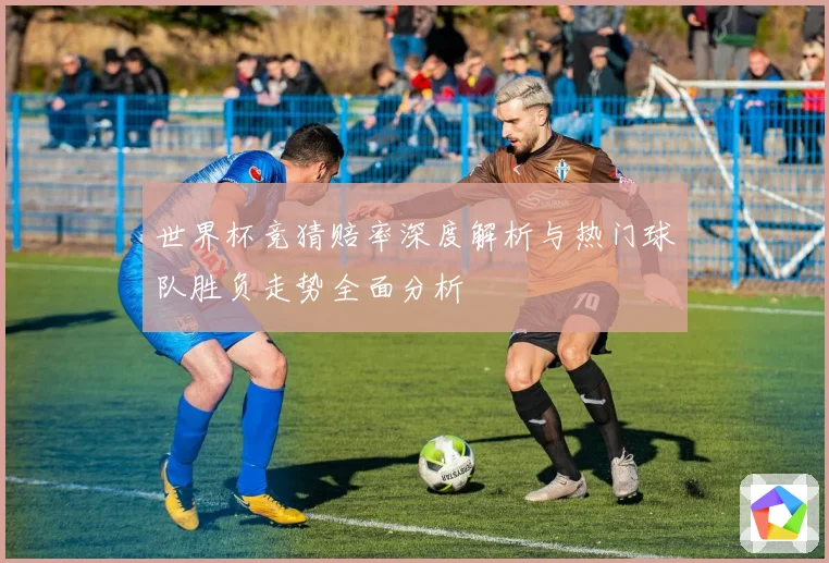 世界杯竞猜赔率深度解析与热门球队胜负走势全面分析